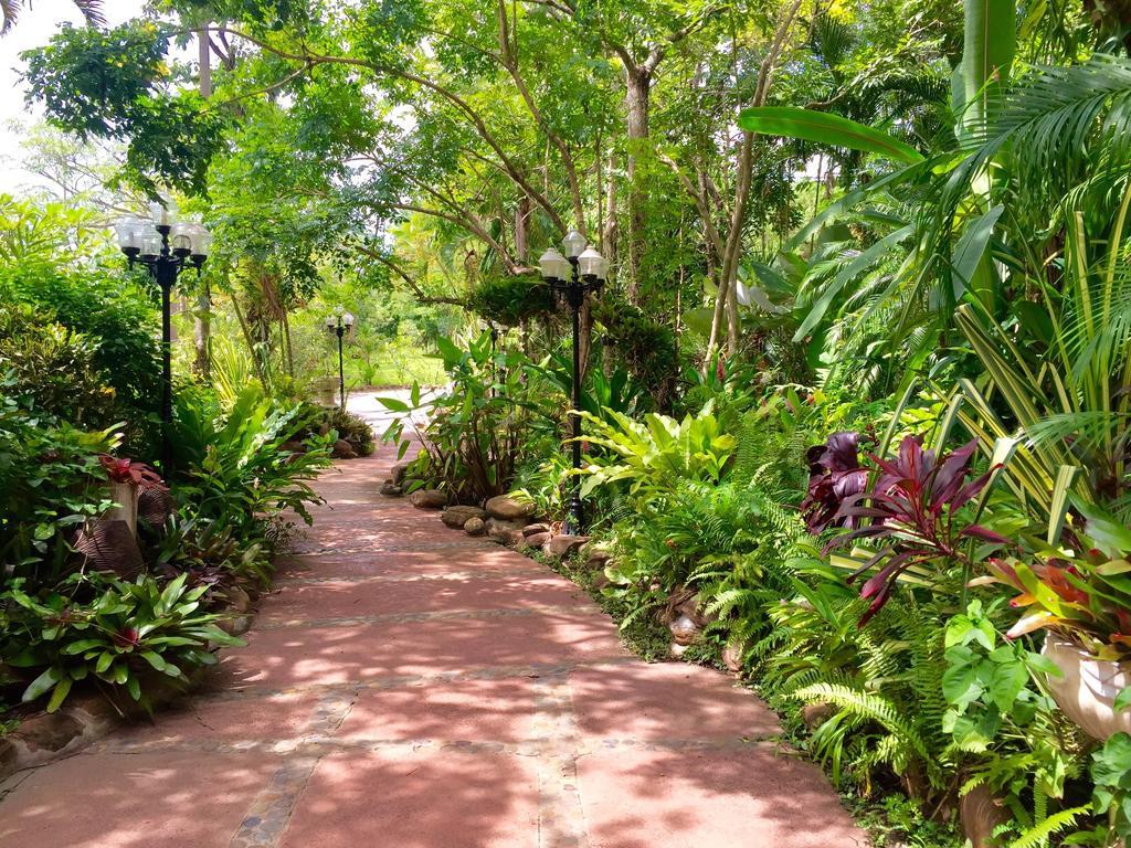 Phu Pha Nam Resort Dan Sai Εξωτερικό φωτογραφία