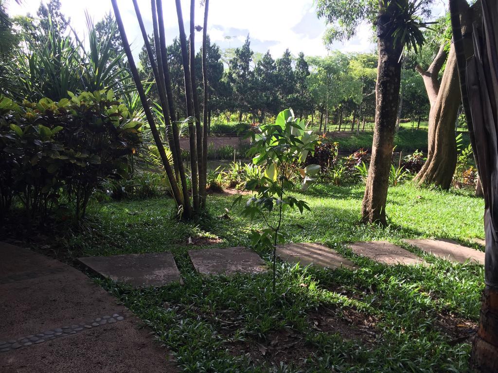 Phu Pha Nam Resort Dan Sai Εξωτερικό φωτογραφία