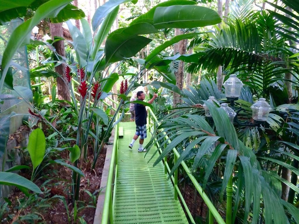 Phu Pha Nam Resort Dan Sai Εξωτερικό φωτογραφία