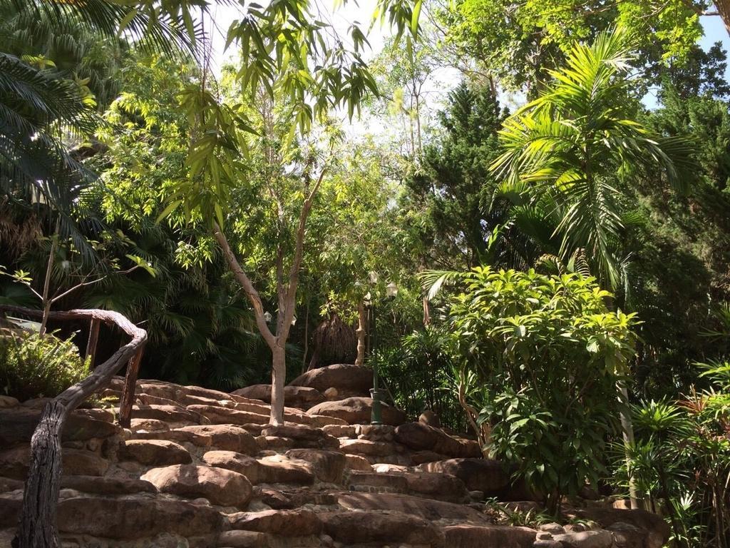 Phu Pha Nam Resort Dan Sai Εξωτερικό φωτογραφία